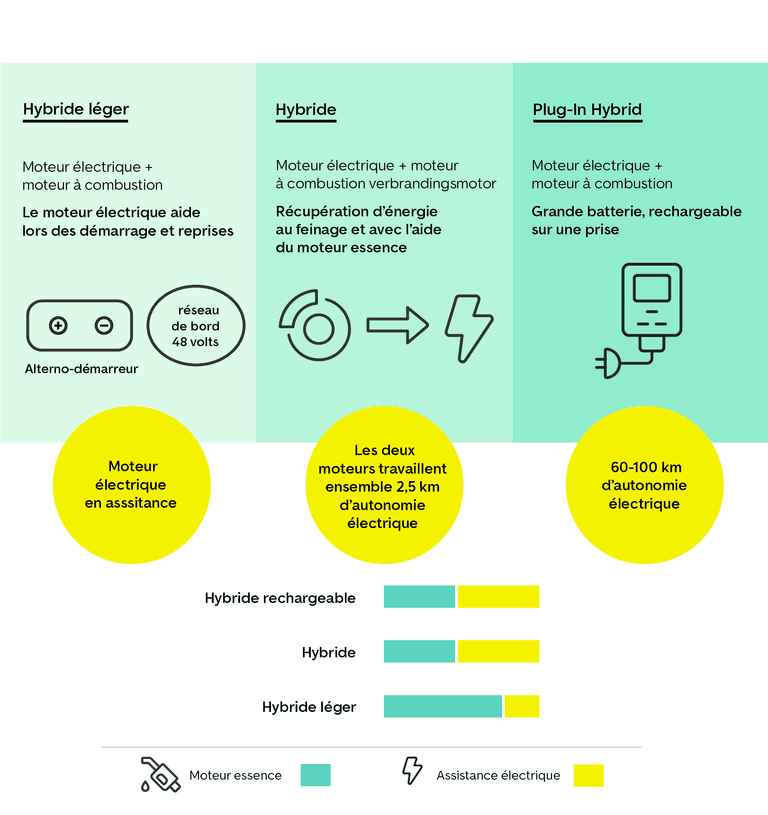 Espèces hybrides en comparaison